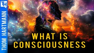 Can Primordial Energy Explain Consciousness?