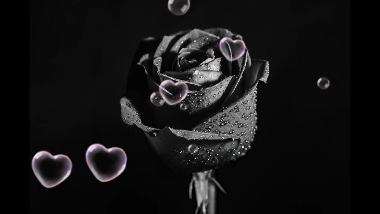 BCL - Karena Kucinta Kau cover by Tereza♬ (Lyrics)