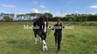 Get Module 1 - Connection Free! (Happy Horse Training) screenshot 3