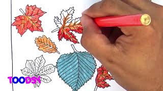 How to Color Image Of Autumn Leaf Coloring Page