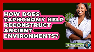 How Does Taphonomy Help Reconstruct Ancient Environments? - Earth Science Answers