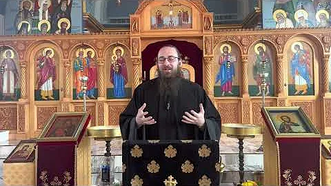 Catechism 3: The Fall and the Nature of Man (2022)
