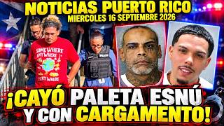 ¡ATRAPAN A PALETA EN CUEROS CON CARGAMENTO TRAS GUERRA DE CASERÍOS EN PUERTO RICO! Y MÁS NOTICIAS