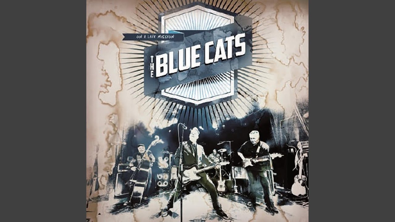 Who Stole My Blue Suede Shoes (Live) Who Stole My Blue Suede Shoes (Live)