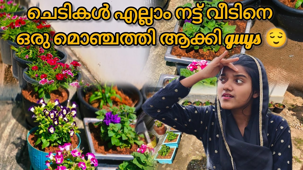 ചെടികൾ എല്ലാം നാട്ടു guys 🌹🌼 || RABEEBASANIYA 