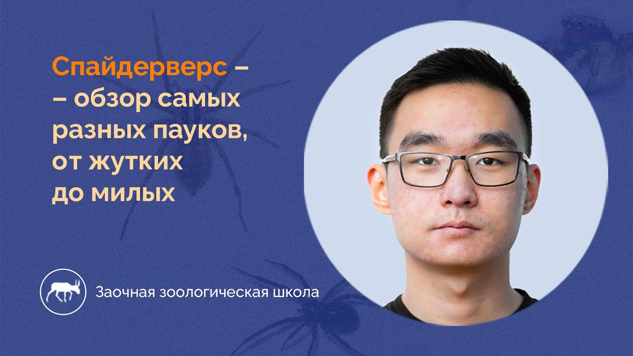 Спайдерверс - какие пауки обитают на нашей планете? Лекция №4, 2023 ...