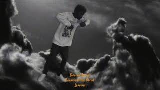 Sleazus Bhrist - Lessons (Visualizer)