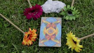 Hello again & Summer Solstice Tarot Spread