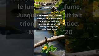 Matthieu 12:20 | Il ne brisera point le roseau cassé Et il n'éteindra point le lumignon qui fume...
