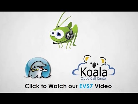 Dialer Software & Virtual Call Center by Electronic Voice Services