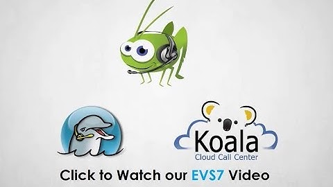 Dialer Software & Virtual Call Center by Electronic Voice Services