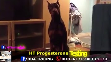 Thánh Lồng Tiếng  Tập 284   LU MUỐN LÀM MẸ   Fb com lytukhangvn