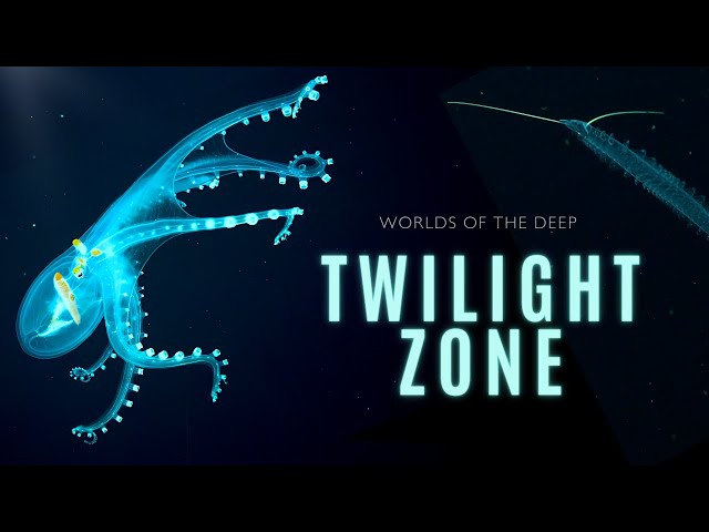 Mysteries of the Twilight Zone | Worlds of the Deep class=