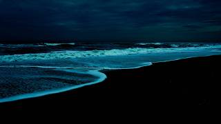 The Most Relaxing Waves Ever • Ocean Sounds to Sleep, Study and Chill. Update