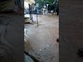 Gaon 🏠me pani bhar gaya video #like #comment #subcribe #