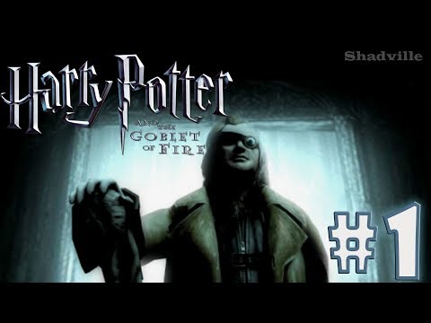 Harry Potter and the Goblet of Fire (видео)