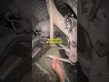I BOUGHT A CRASH DAMAGED PORSCHE TAYCAN 4S