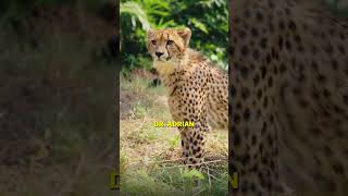 This Is An Extinct Animal
