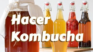 Cómo hacer kombucha en casa facil.