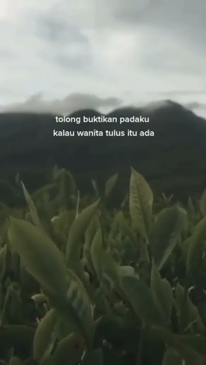Story WA 30 detik_story WA emang ada yah