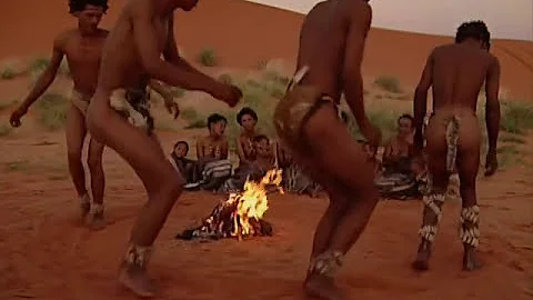 Harmony Under the Kalahari Moon: San Bushman Cultural Dance