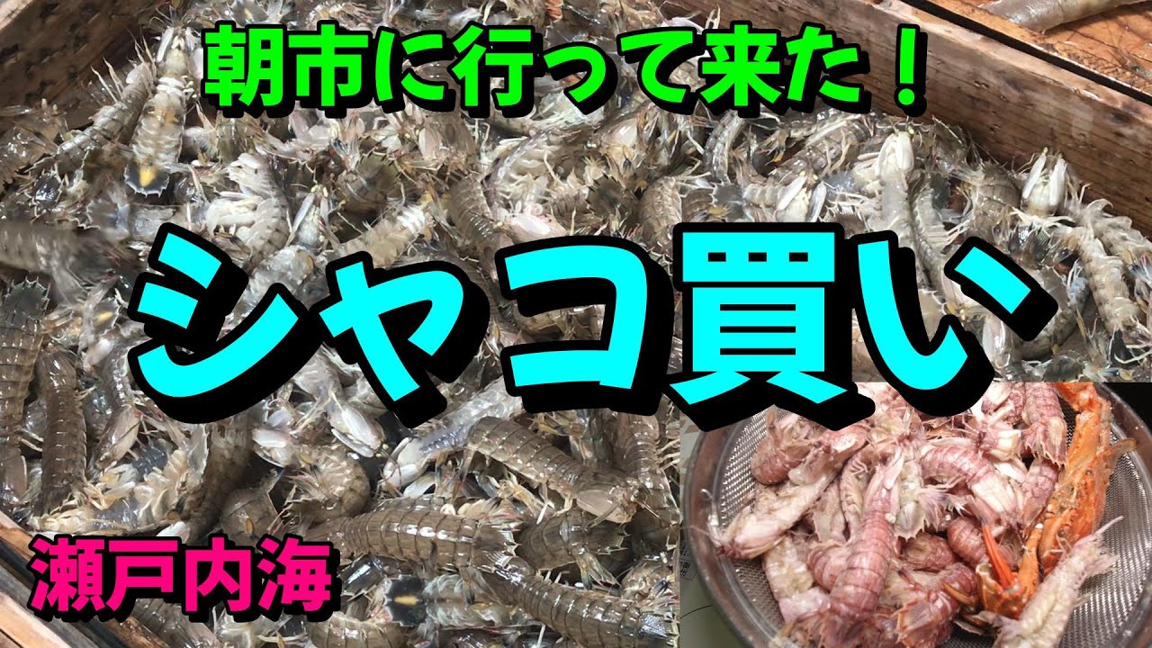 【漁港朝市】笠岡の朝市へ大好きな「シャコ」を買いに行って来た！
