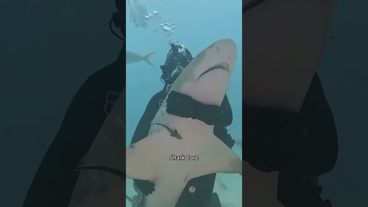 Don&rsquo;t click the sound 🥀💔✌🏽