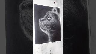 Cat drawing with Charcoal 😻 #shorts #drawing #charcoal #cat #trending #ytshorts #easydrawing