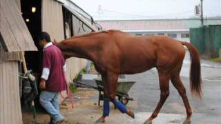 Caribbean Beau Works 6F 11 - 16 - 10