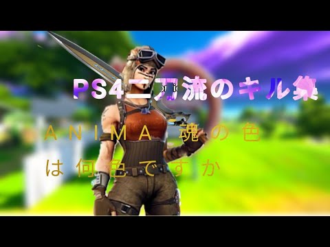 PS4二刀流のキル集 ANIMA 魂の色は何色ですか