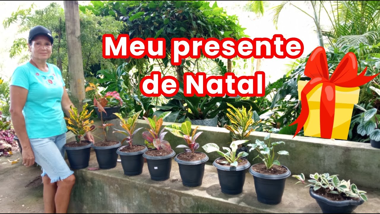 MEU PRESENTE DE NATAL SÓ PODIA SER NOVAS LINDUCHAS 😍