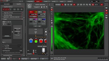 Leica LAS X Software Experiment Setup: Z-stack