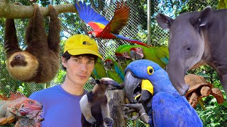 I Volunteered With Animals In Costa Rica (Life Changing)
