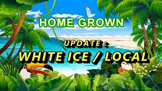 {INDOOR GROW} UPDATE || White Ice Local || week 7 day 4 || DEFOLIATION ||