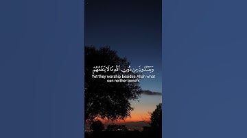 اكتب شيء تؤجر عليه #القران_الكريم #محمد_اللحيدان #quran #سورة_الفرقان