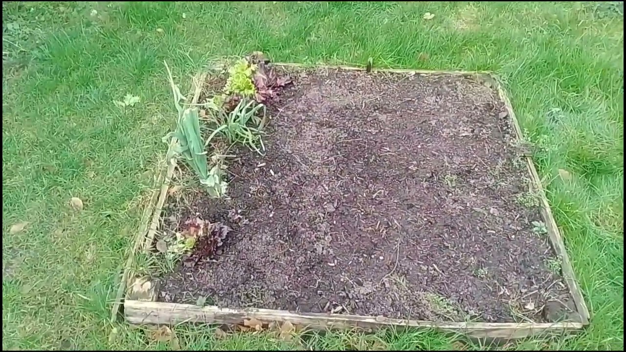 Growing season has started..