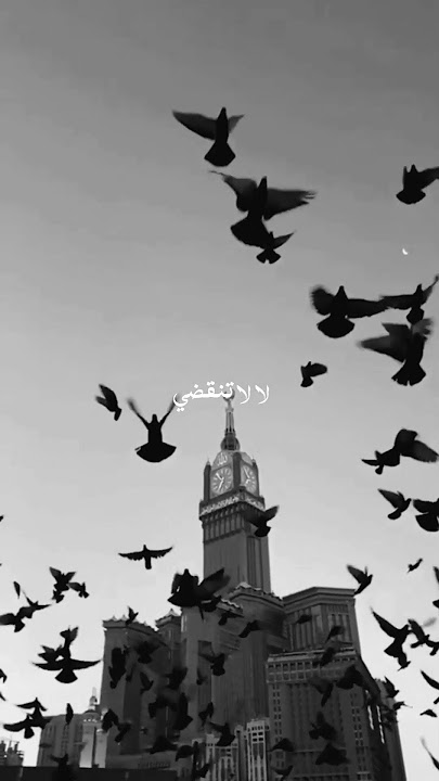 Ramadan Special Maher Zain lyrics Edit video 🤍✨#shorts