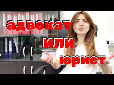 Бейне: АҚШ адвокаты не істейді?