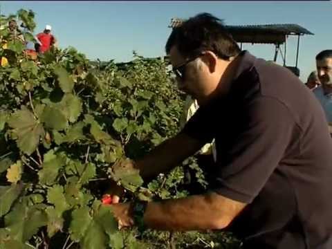 პრეზიდენტი ახალსოფელში