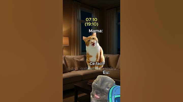 Când adormi înainte să apună soarele 🌆 #foryou #funny #mom #cats #mama #pisici #catsmemes