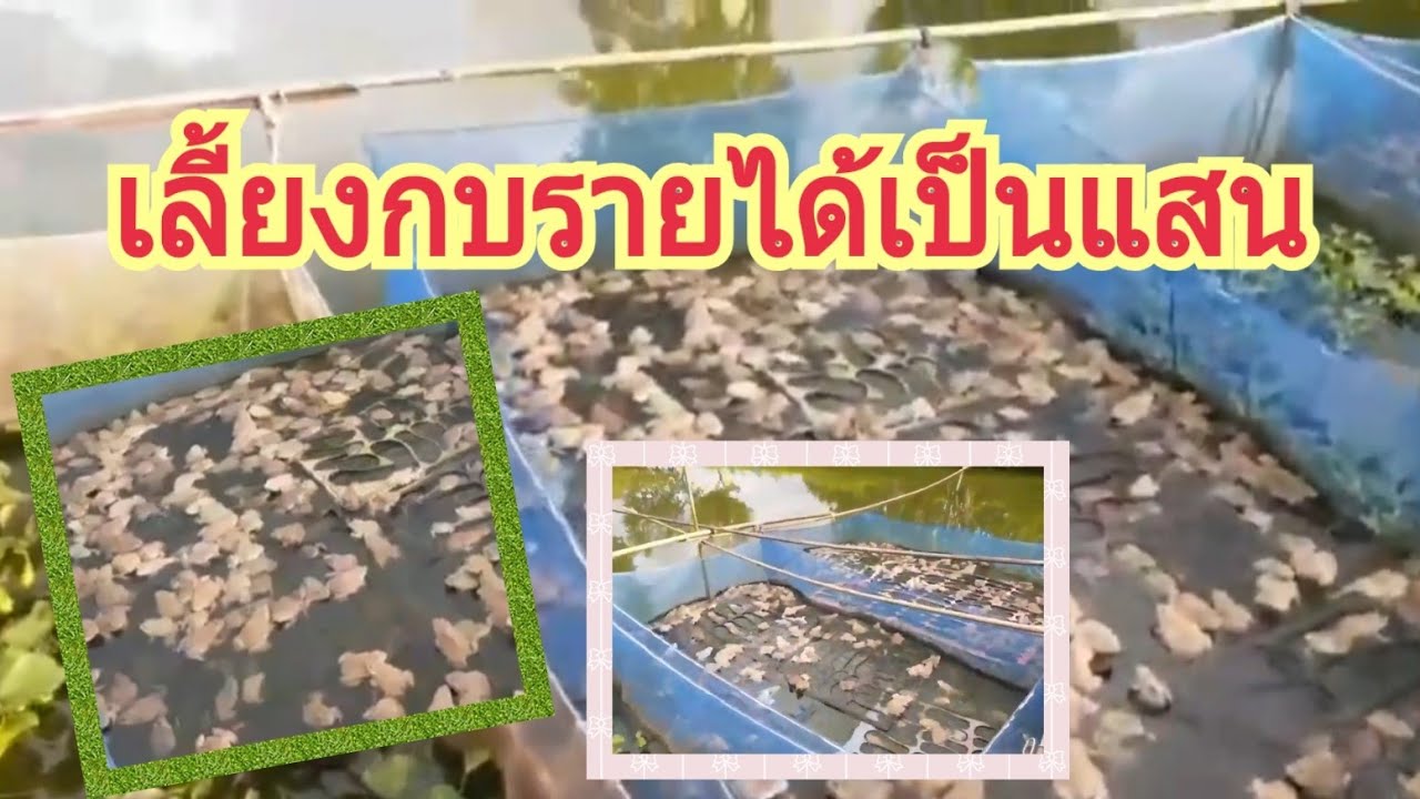 Ready go to ... https://youtu.be/dTNHqC-A3Ps%E0%B9%80%E0%B8%A5%E0%B8%B5%E0%B9%89%E0%B8%A2%E0%B8%87 [ à¹à¸¥à¸µà¹à¸¢à¸à¸à¸à¹à¸à¸à¸£à¸°à¸à¸±à¸à¸¥à¸­à¸¢à¸à¹à¸³ à¸£à¸²à¸¢à¹à¸à¹à¸«à¸¥à¸²à¸¢à¸«à¸¡à¸·à¹à¸à¸à¹à¸­à¹à¸à¸·à¸­à¸]