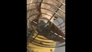 vintage Hoover desk fan