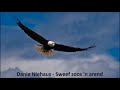 Danie Niehaus - Sweef soos 