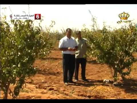 برنامج مواسم الخير محافظة مأدبا