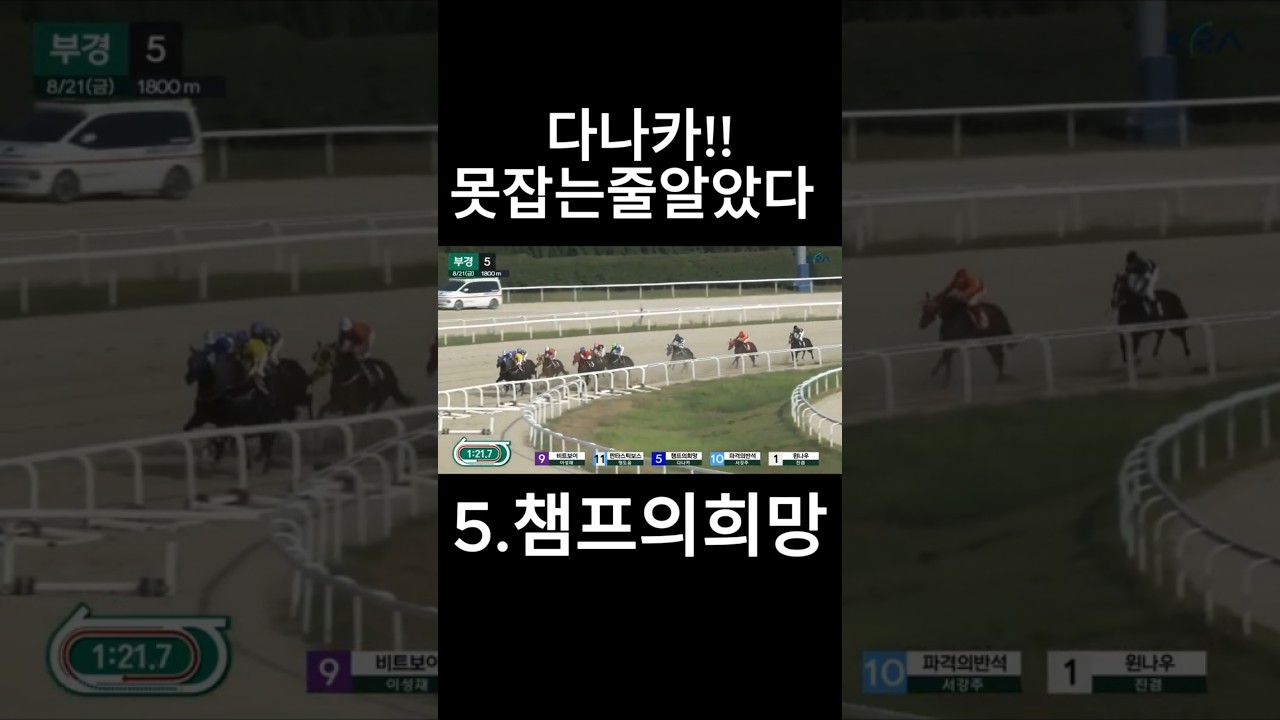 다나카 못잡는줄 알았다   #경마  #경마예상  #경마방송  #경마예상방송  #서울경마  #금요경마  #토요경마  #일요경마 #경마장