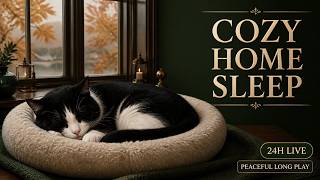 🔴 LIVE: 24 HOURS Anti-Anxiety Music for Cats, Calm & Better Sleep | No Ads screenshot 1