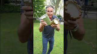 Sagano Candle Collection | Luxury Scented Candles | Candle Review | Thompson Ferrier