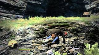 Dragon's Dogma Witchwood Ledge skip