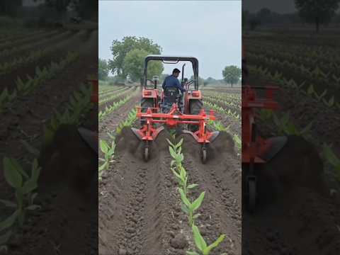 जुगाड किंवा तंत्रज्ञान? ट्रॅक्टरने २ बेडला एकत्र माती लावणे | Tractor Bed Maker & Ridger