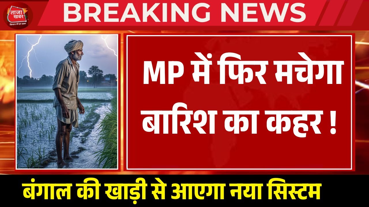 बंगाल की खाड़ी से आएगा नया सिस्टम, MP में फिर मचेगा बारिश का कहर, इन 14 जिलों में अलर्ट 